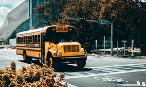 Light, Traffic Light, Bus