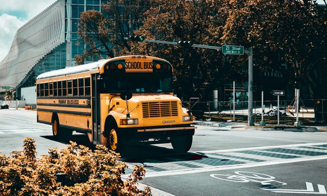 Light, Traffic Light, Bus