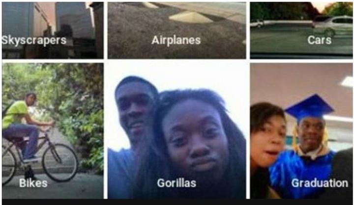 google pide perdon por etiquetar como gorilas una pareja afroamericana gori