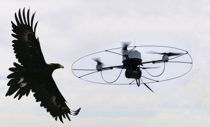 drones terrorismo seguridad guilas