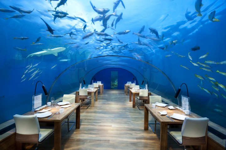 restaurante submarino maldivas maldives underwater restaurant 1200x0