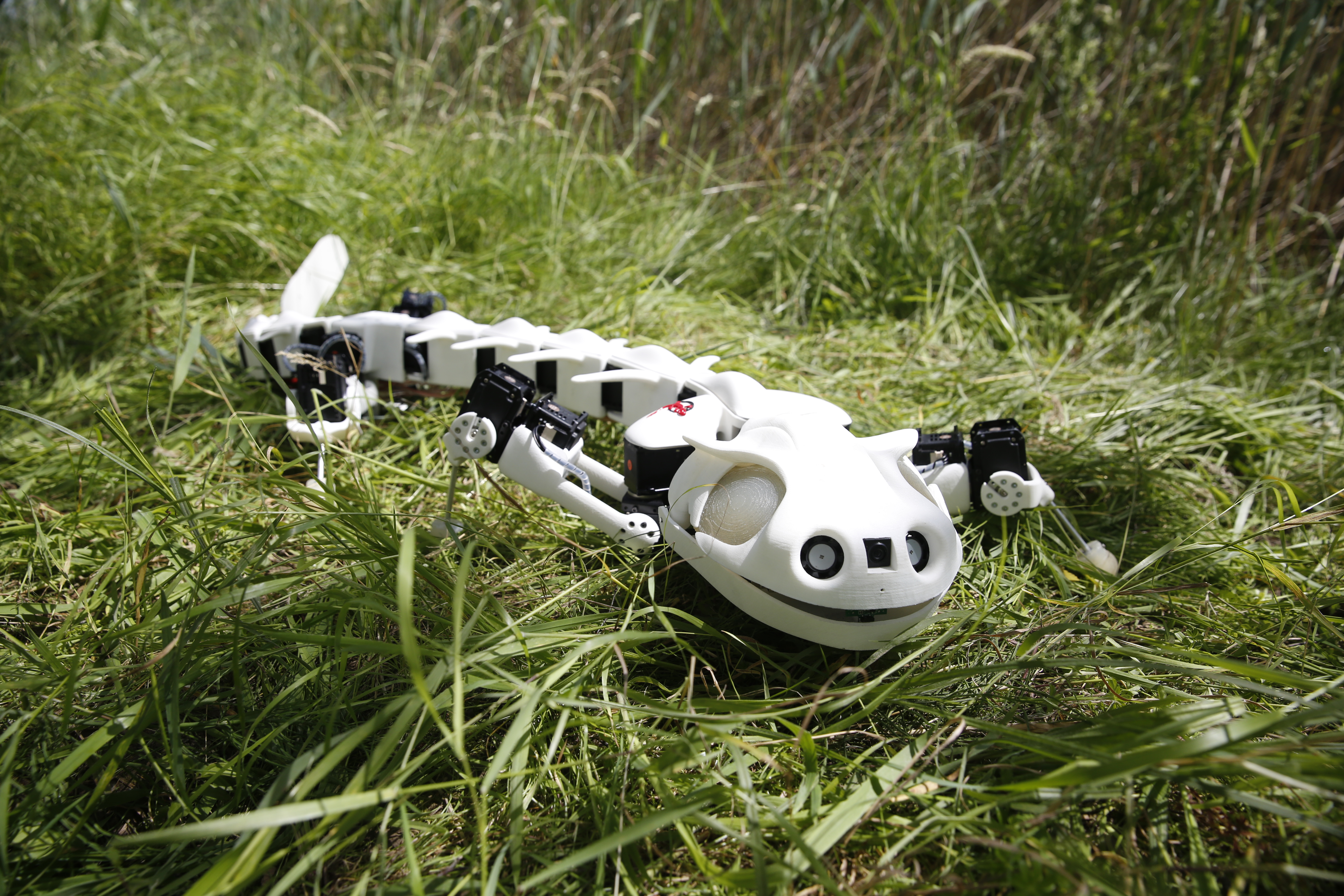 robot salamandra podria ayudar paraplejicos x3a9216