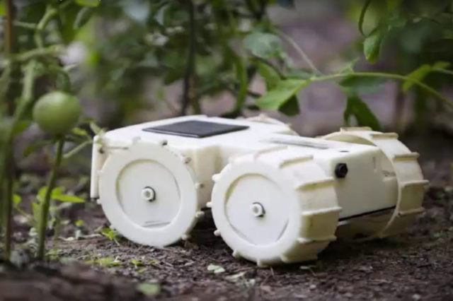 robot roomba para tu jardin franklin robotics tertill