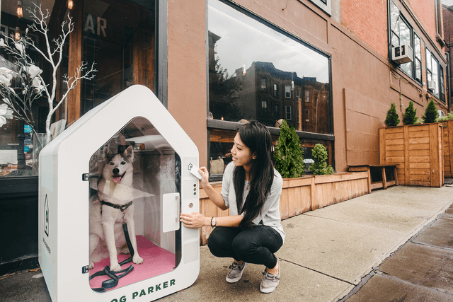 dog parker el nuevo hogar inteligente para perros brooklyn nyc twotwenty by chi agbim 15 640x0