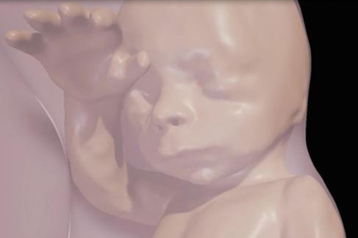 la vr ofrece una nueva perspectiva de los fetos ribeiro werner fig 3 2 1200x0