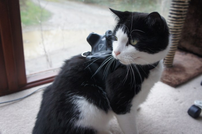 proteje mascotas juegos realidad virtual cat vive tracker pet