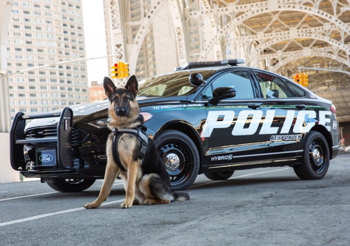 ford fusion hybrid policial police responder sedan feat