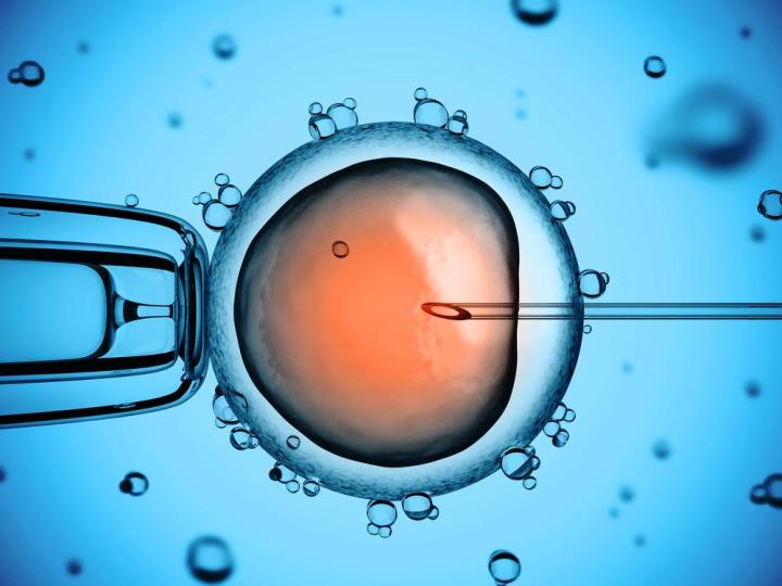 modificacion genetica embriones humanos crispr human embryo editing