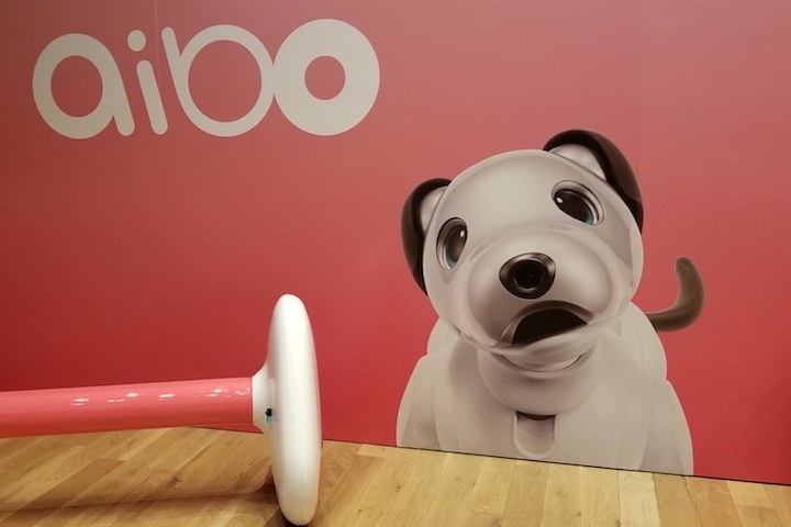 Adopta a un perro robot: la iniciativa de Sony para dar una