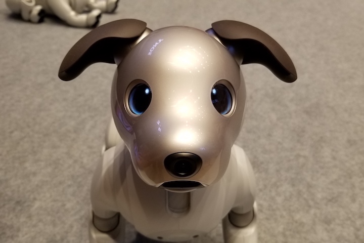 Sony lanza su perro robot Aibo con un precio de 1.500 euros y ya