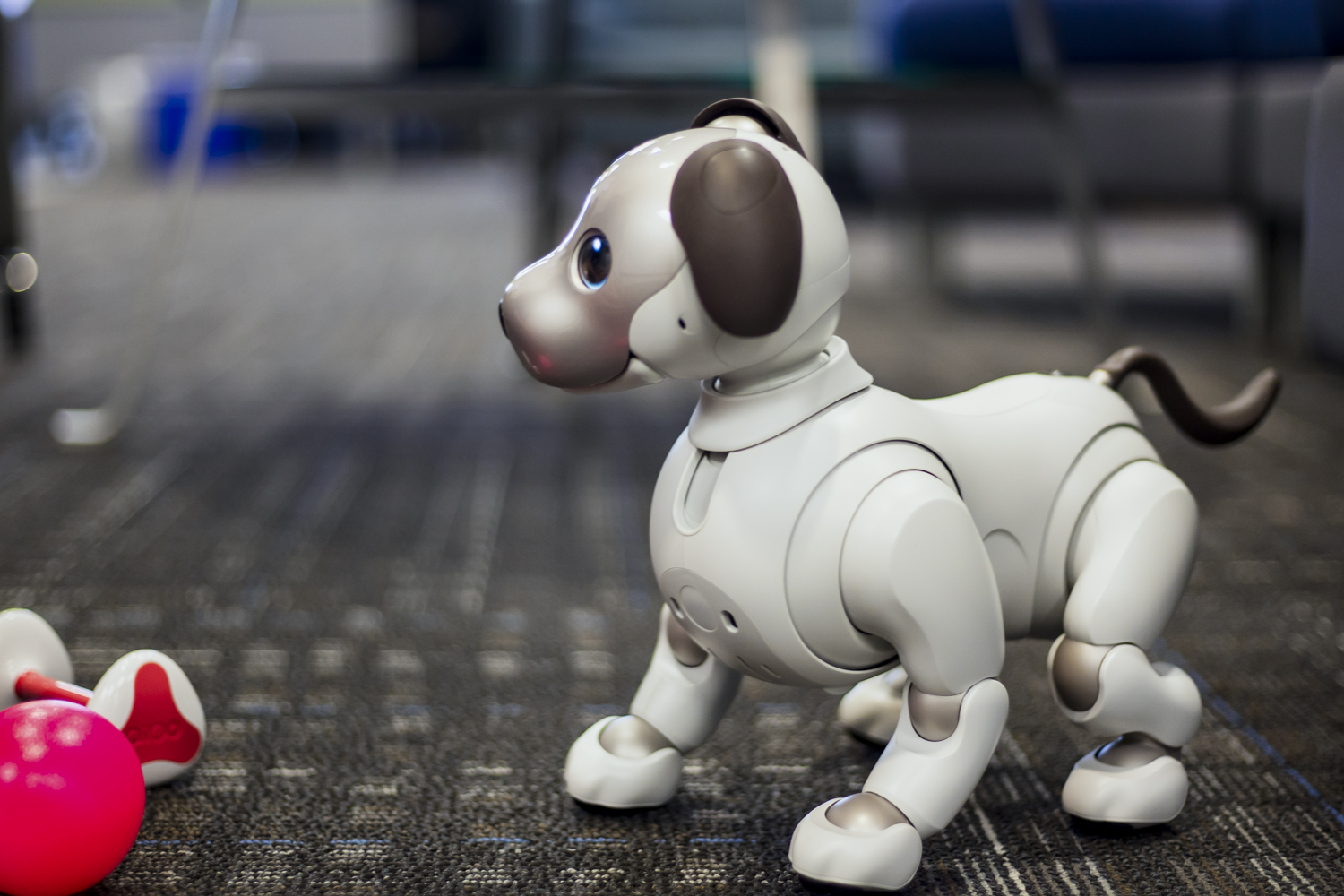 El nuevo perrito robot Aibo de Sony es más inteligente que nunca -  Digital Trends Español