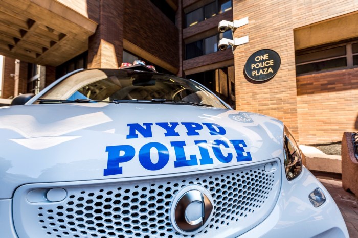 patternizr aprendizaje maquinas policia nueva york smart fortwo  new police department