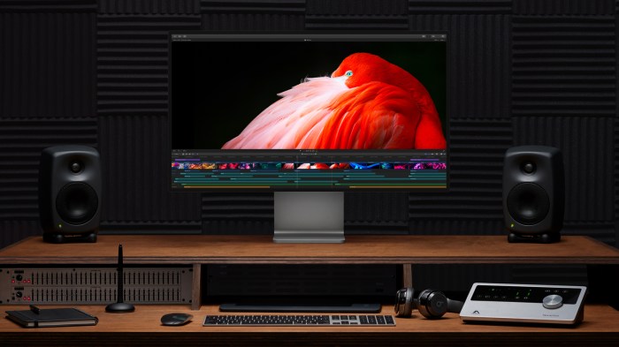 apple mac pro 2019 display workflow 060319
