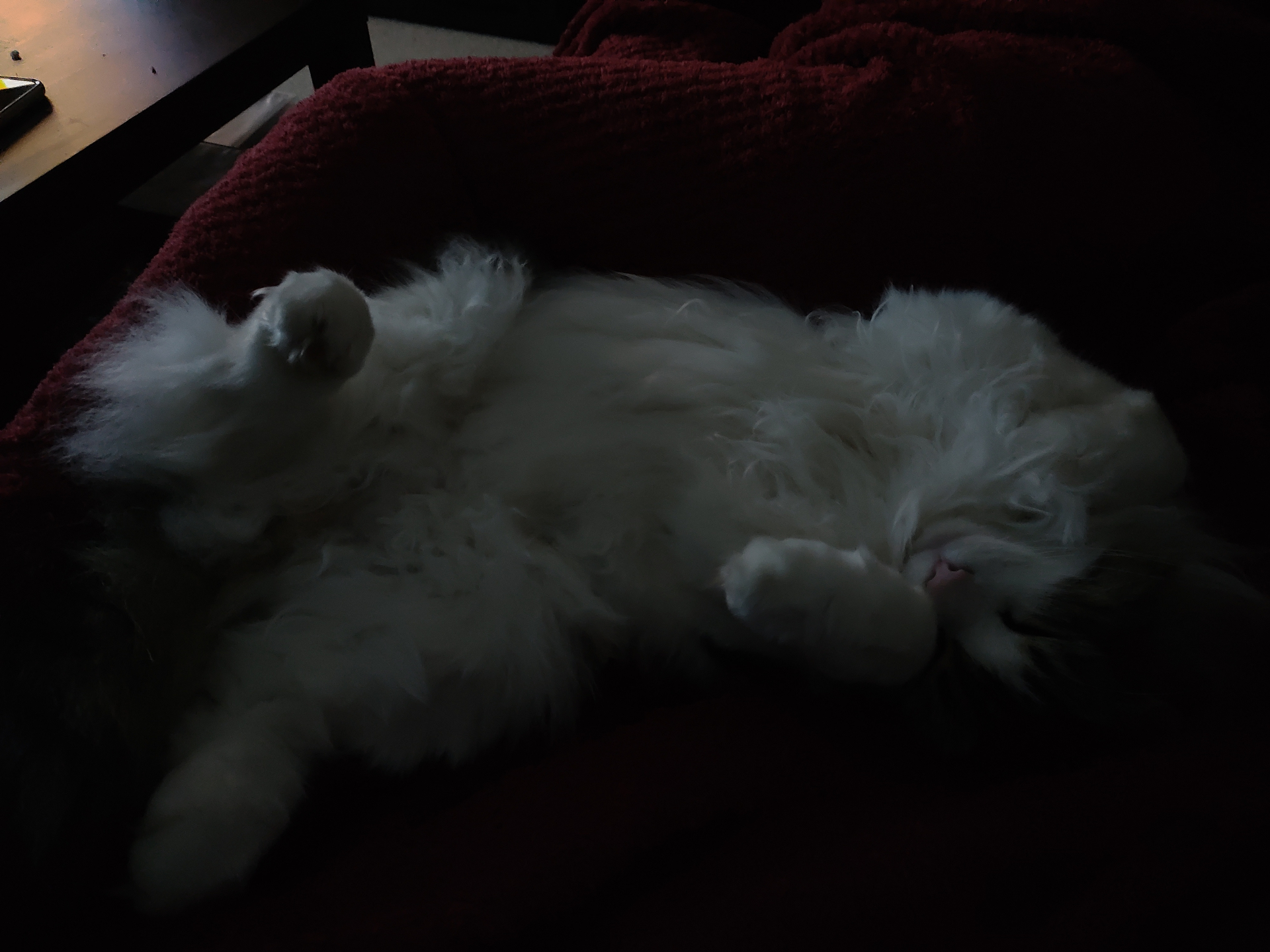 revision red magic 3 review camera samples 30629 720x720