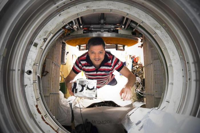 carne artificial impresora 3d cosmonaut oleg kononenko board international space station during first experiment bioprinter d