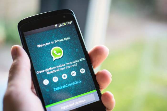 whatsapp mensajes desaparecen