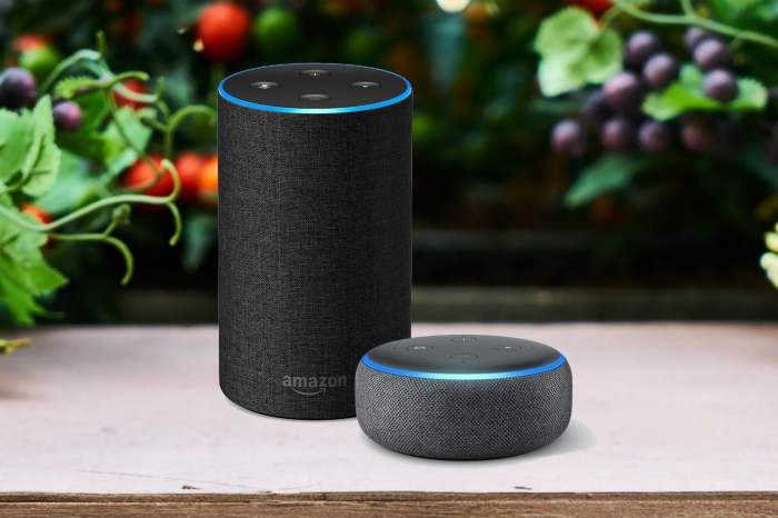 Dos modelos de Amazon Echo sobre una mesa