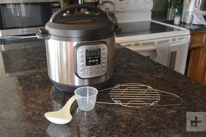 Cómo usar una olla de presión eléctrica Instant Pot