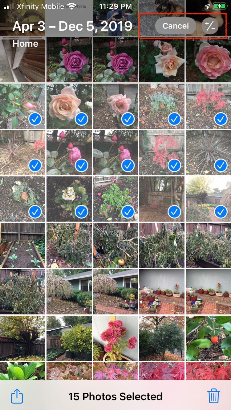 Fotos seleccionadas de la galería de imágenes de iPhone