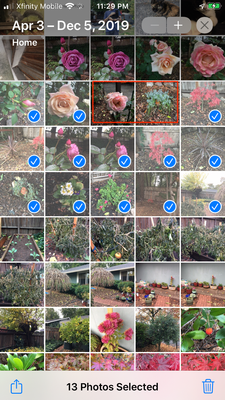 Fotos seleccionadas de la galeria de imágenes de iPhone