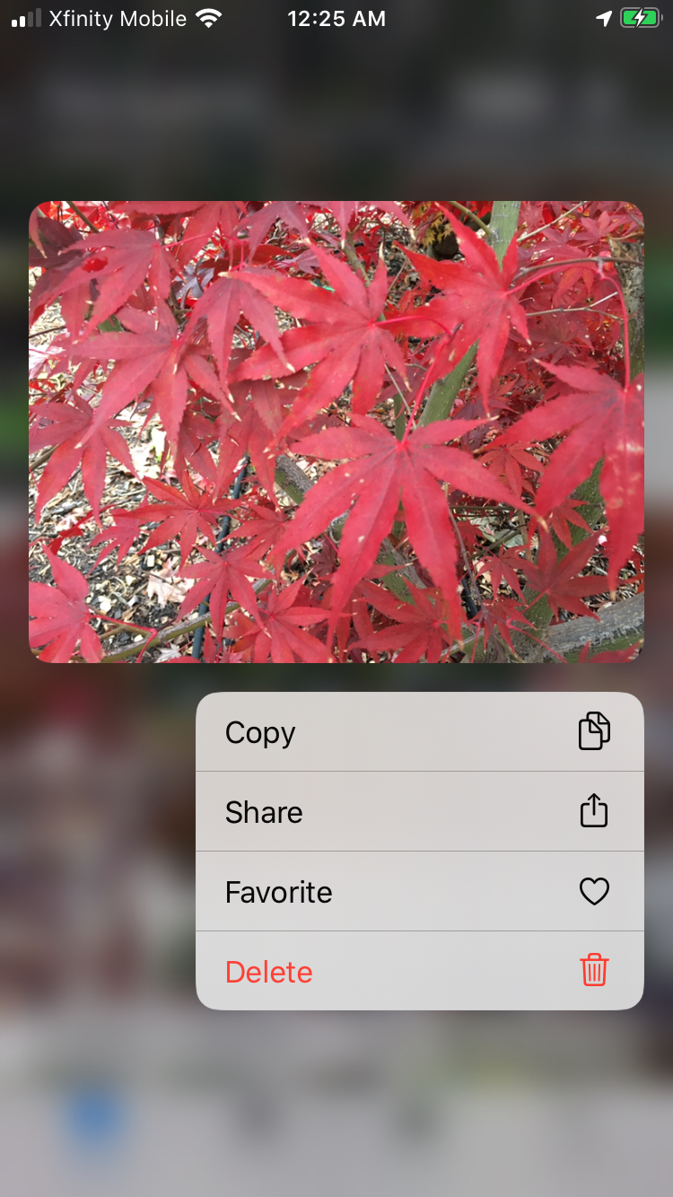 Ventana emergente para borrar fotos de iPhone