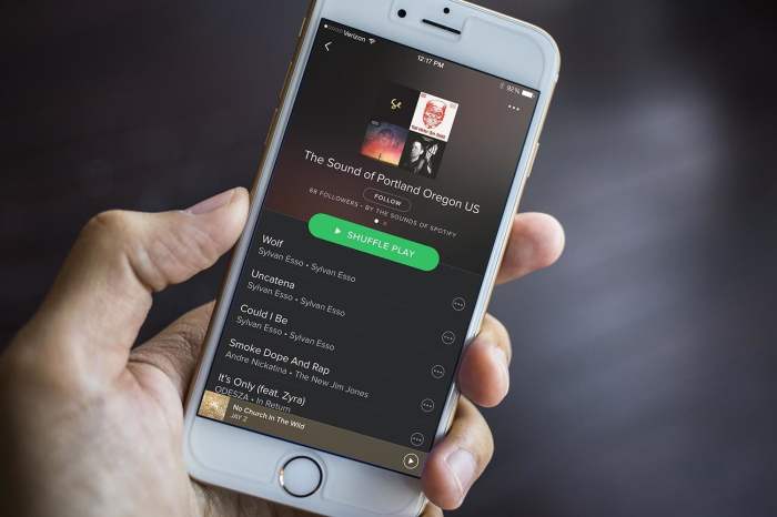 Una persona sostiene un teléfono celular con la aplicación de Spotify ejecutada. Te explicamos cómo descargar canciones de Spotify.