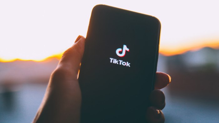 La aplicación de Tiktok en celular