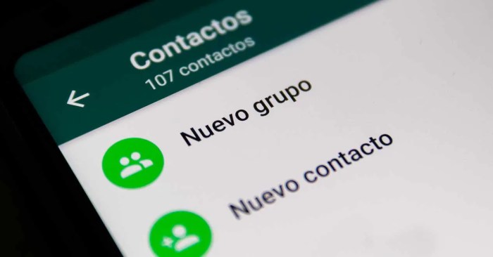 Whatsapp Grupos