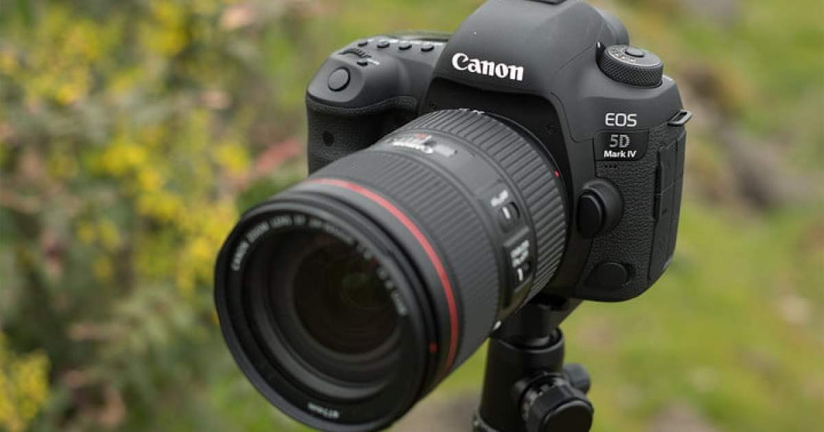 Canon vs. Sony: ¿qué marca te ofrece la mejor cámara? - Digital