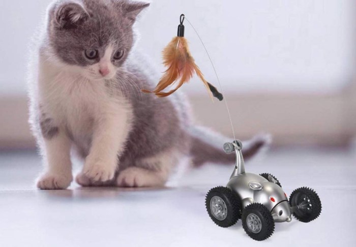 gato observando un coche con forma de ratón