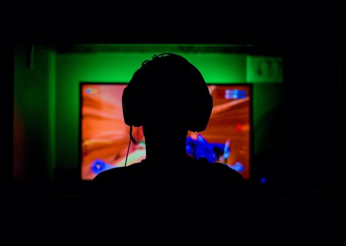 Un adolescente de espalda enfrenta una partida de un videojuego