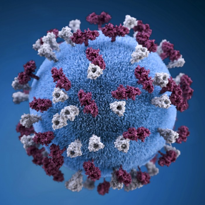 Una imagen del coronavirus