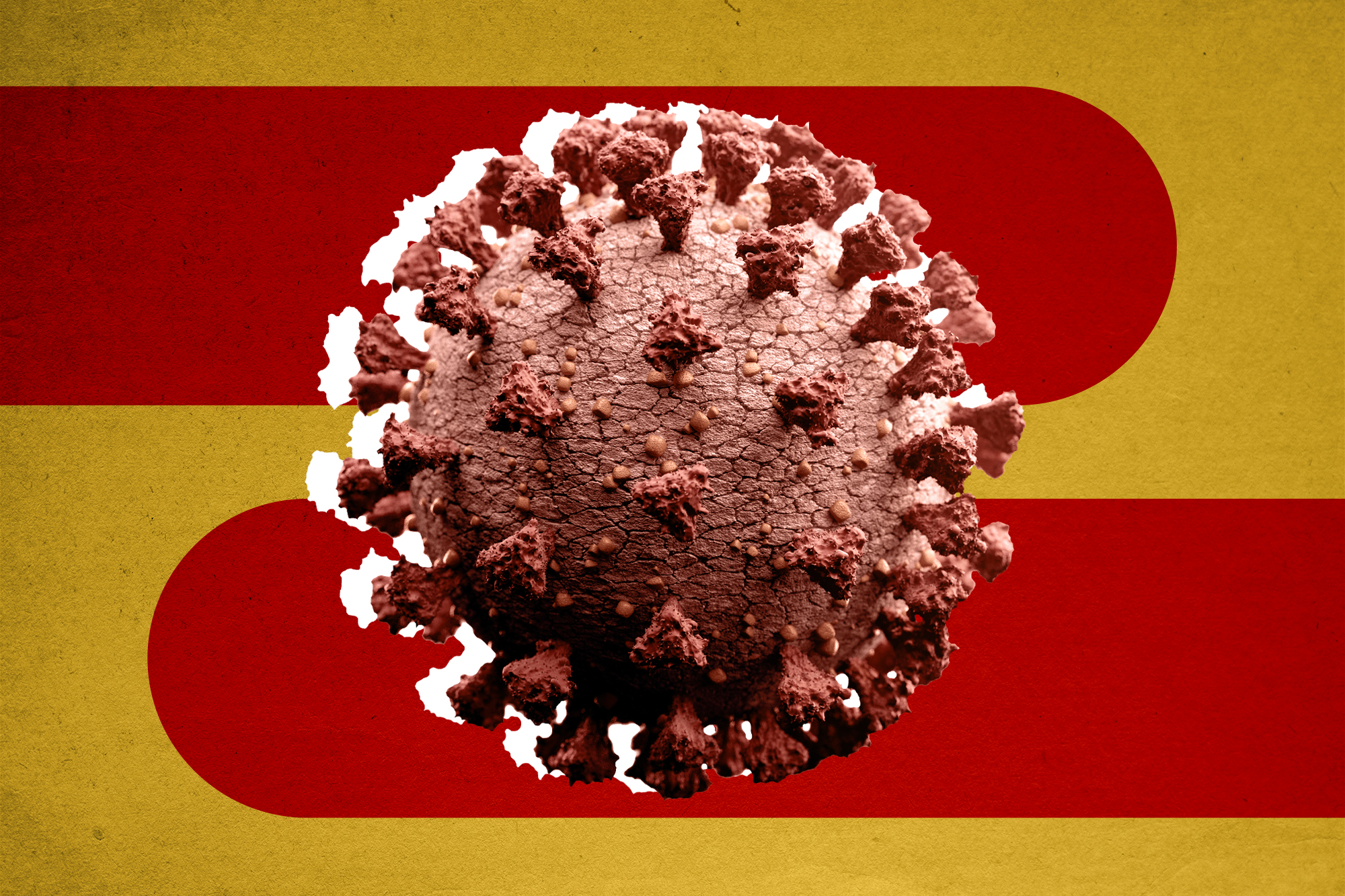Imagen del coronavirus
