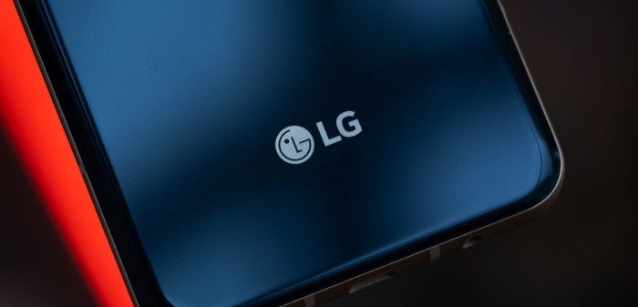 LG publica controvertido video en TikTok que luego eliminó