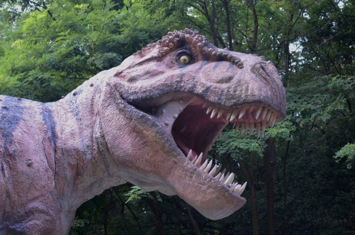 El Tiranosaurio Rex no podía correr, según investigación