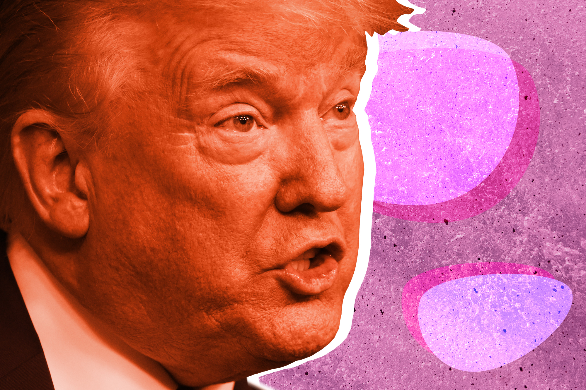 Trump stylized image