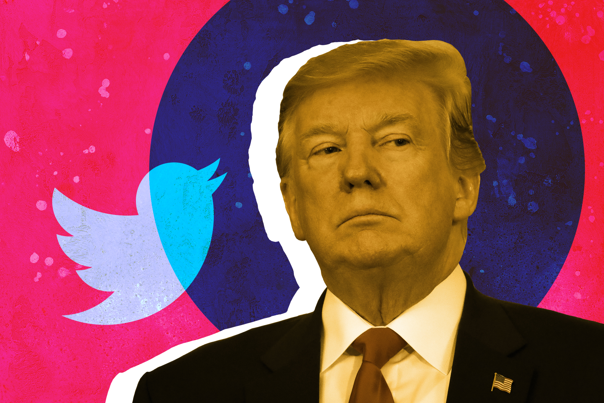 Trump with Twitter logo stylized image