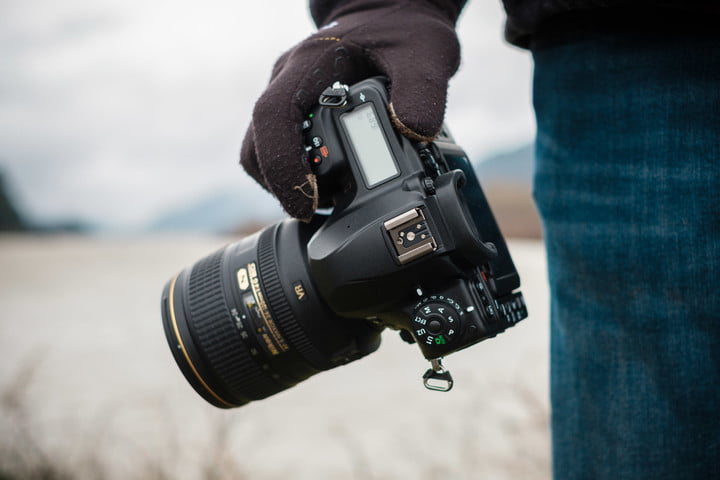 La cámara sin espejo más poderosa de Canon graba en 8K - Digital Trends  Español