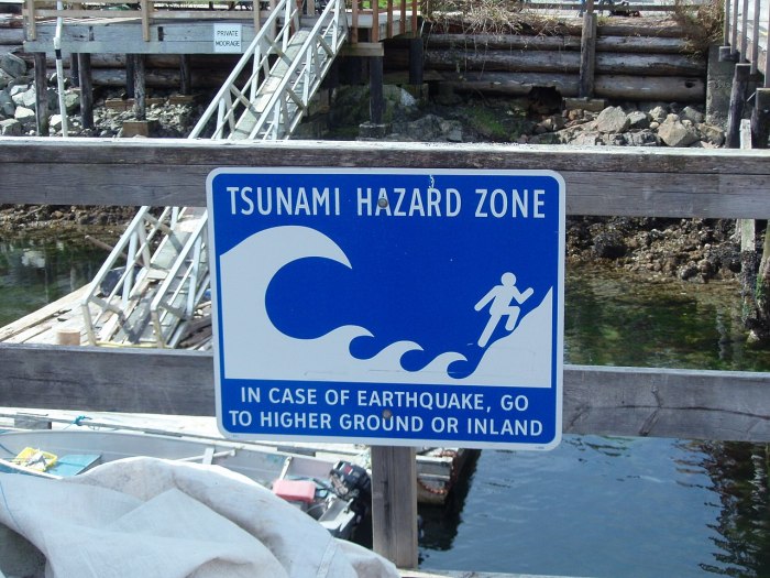 google cables submarinos terremotos cartel de tsunami