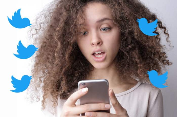 Cómo proteger tu cuenta de Twitter