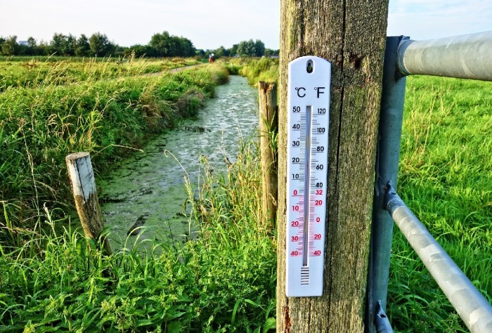 Un termómetro en una pradera