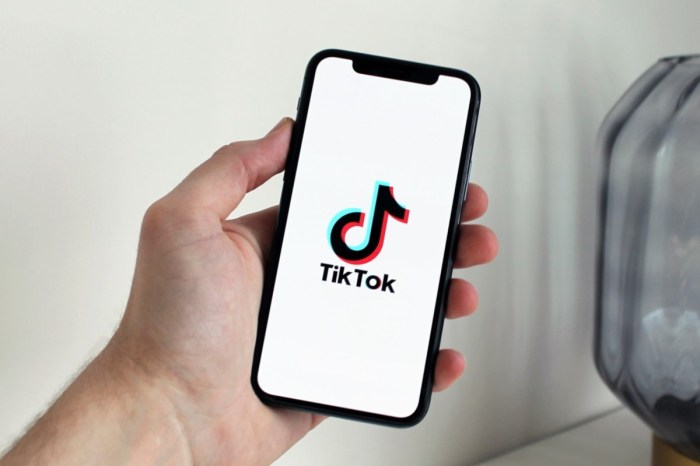 TikTok, multada por recopilar datos de niños y adolescentes