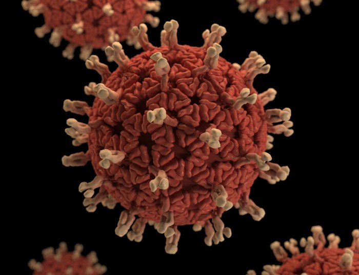 La imagen muestra una cepa de coronavirus.