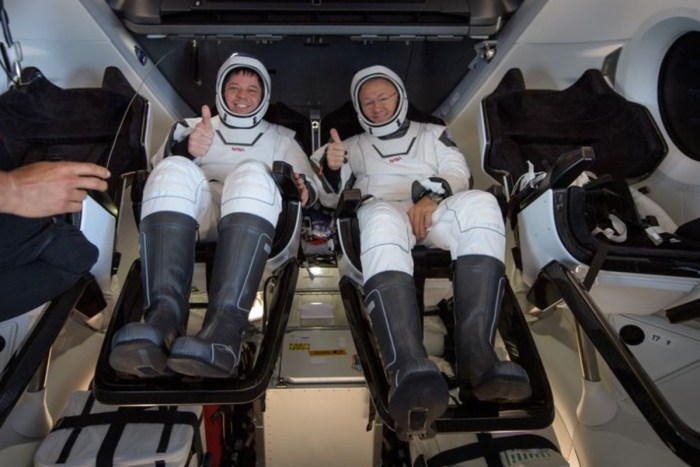astronauts crew dragon relato animal spacex