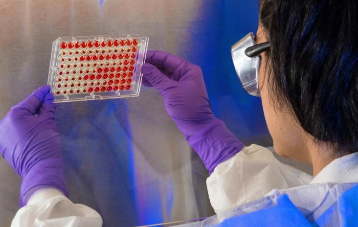 Una investigadora sostiene muestras de sangre