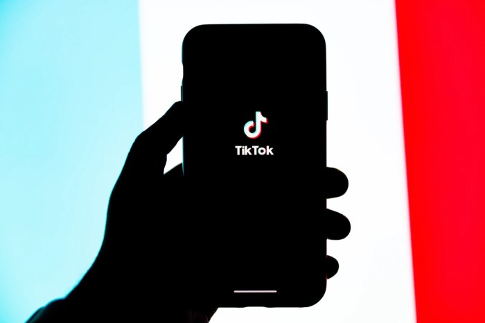 Teléfono logo TikTok
