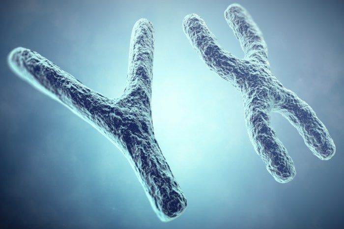 Cromosomas X Y imagen conceptual