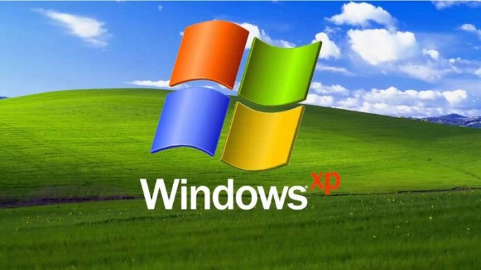 La imagen muestra el logo de Windows XP.