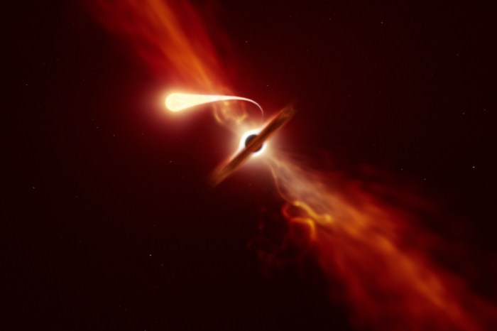 detectan estrella devorada agujero negro