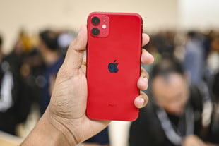 iphone 11 vs pro max hands on jc red backside 1 310x207